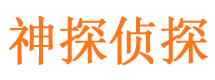 南岸市私家侦探